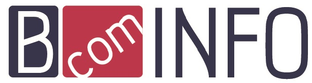 B COM INFO – Informatique & Réseaux – Vidéo Surveillance